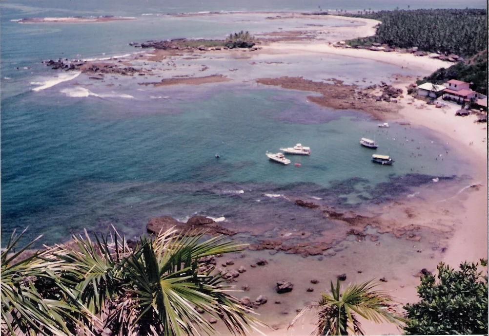 Vista do alto do Morro do Farol na maré baixa, 1988