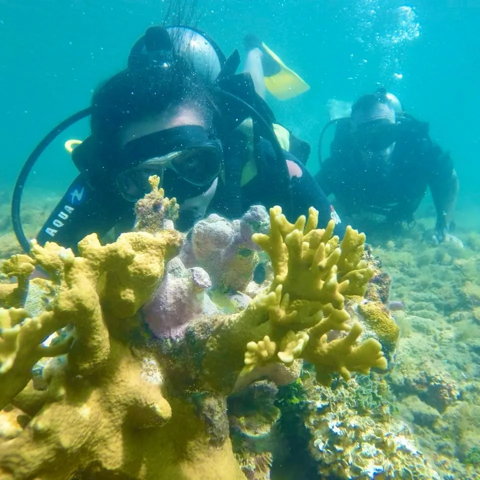 Passeio Mergulho com Cilindro em Morro de São Paulo